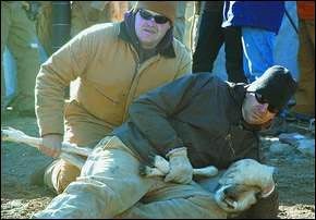 Utah Antelope Trapping